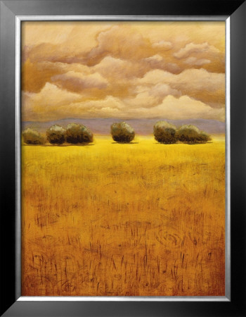 Golden Fields Ii by Thomas Girard Pricing Limited Edition Print image