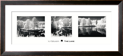 The Lake by Ily Szilagyi Pricing Limited Edition Print image