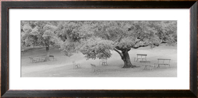 Lakeside Park by Gomes Pricing Limited Edition Print image