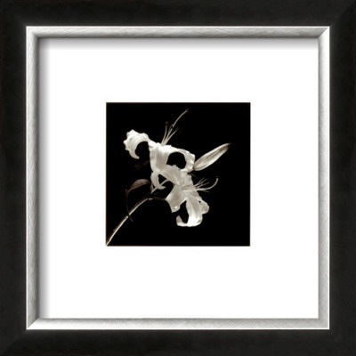 Flower Series Ii by Walter Gritsik Pricing Limited Edition Print image