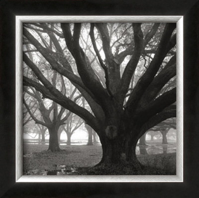Oak Grove, Winter by William Guion Pricing Limited Edition Print image