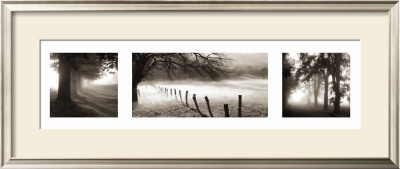 Misty Shadows by Steven Mitchell Pricing Limited Edition Print image