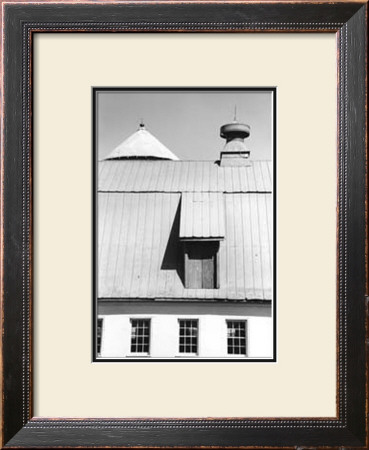 Farm Life Ii by Laura Denardo Pricing Limited Edition Print image