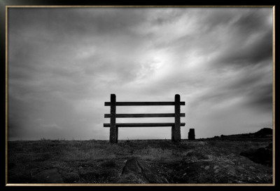 Bench And Clouds by Shane Settle Pricing Limited Edition Print image
