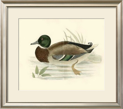 Morris Ducks I by Reverend Francis O. Morris Pricing Limited Edition Print image