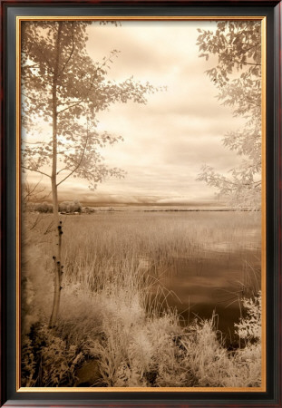 Peaceful Morning I by Monte Nagler Pricing Limited Edition Print image