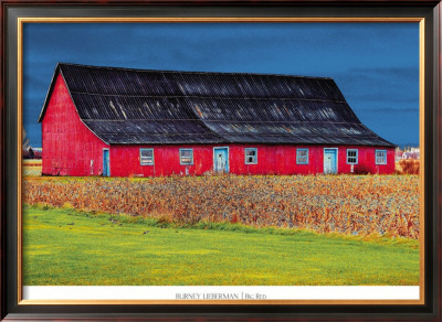 Big Red by Burney Lieberman Pricing Limited Edition Print image