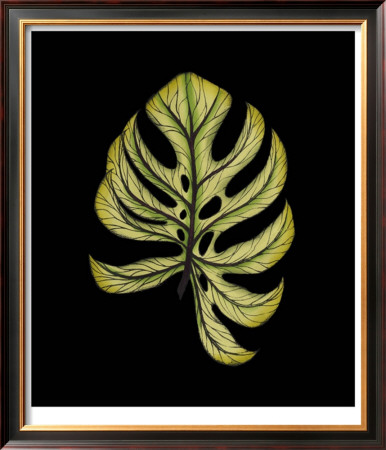 Vivid Foliage Ii by Jennifer Goldberger Pricing Limited Edition Print image