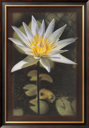 Water Lily I by Noah Pricing Limited Edition Print image