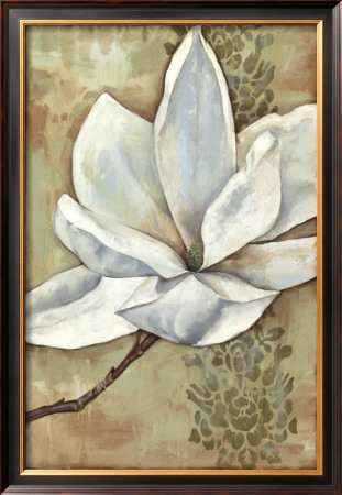 Magnolia Majesty Ii by Jennifer Goldberger Pricing Limited Edition Print image