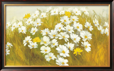 White And Yellow Daisies by Cuca Garcia Pricing Limited Edition Print image