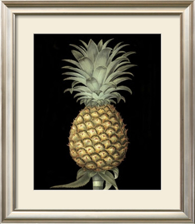 Brookshaw's Exotic Pineapple I by George Brookshaw Pricing Limited Edition Print image