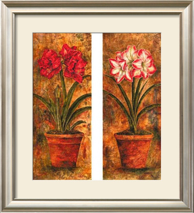 Amaryllis Petites by Judy Shelby Pricing Limited Edition Print image