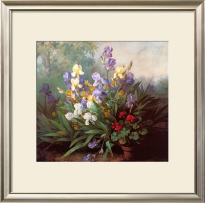 Landscape With Irises by Barbara Koch Pricing Limited Edition Print image