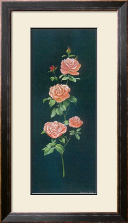 Rose by Karin Valk Pricing Limited Edition Print image