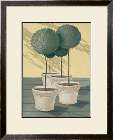 Buxus by Franz Heigl Pricing Limited Edition Print image