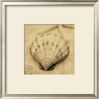 Scallop by John Seba Pricing Limited Edition Print image