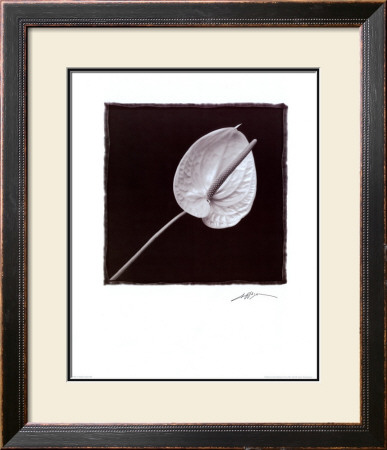 Flower by Angelos Zimaras Pricing Limited Edition Print image