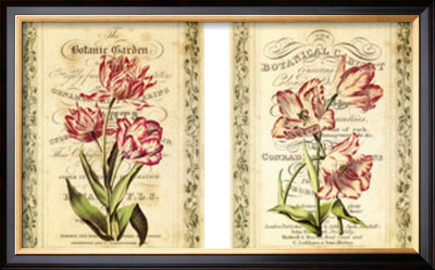 Botanical Garden Petites by Zachary Alexander Pricing Limited Edition Print image