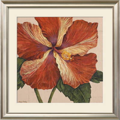 Hibiscus Grande I by Judy Shelby Pricing Limited Edition Print image