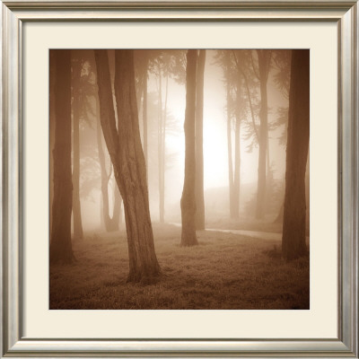 Woods Study Ii by Alan Klug Pricing Limited Edition Print image
