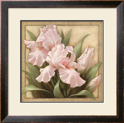 Pretty In Pink Irises by Igor Levashov Pricing Limited Edition Print image