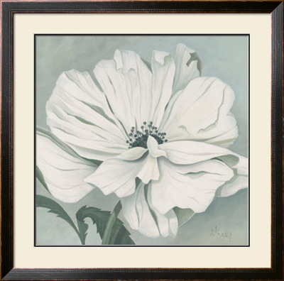 White Poppy by Franz Heigl Pricing Limited Edition Print image