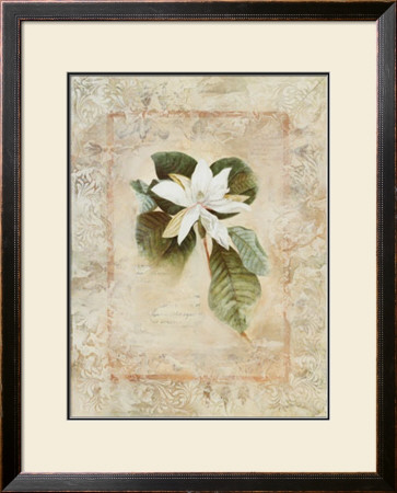 Magnolia Ii by Susan Davies Pricing Limited Edition Print image