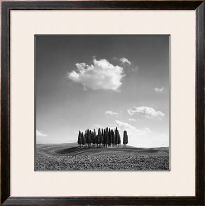 Cypress Trees by Jean Miele Pricing Limited Edition Print image