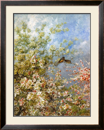 Apple Blossoms by Olga Florian Wisinger Pricing Limited Edition Print image