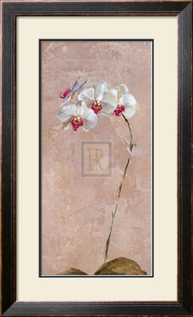 Contemporary Orchid Ii by Dennis Carney Pricing Limited Edition Print image