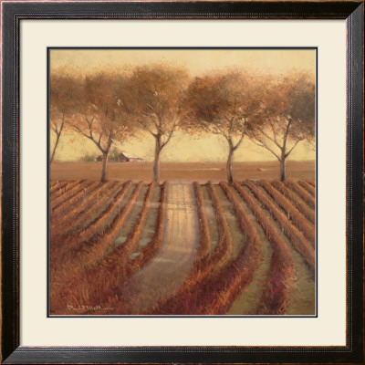 Vintage Sunlit Vineyard by Paul Mathenia Pricing Limited Edition Print image