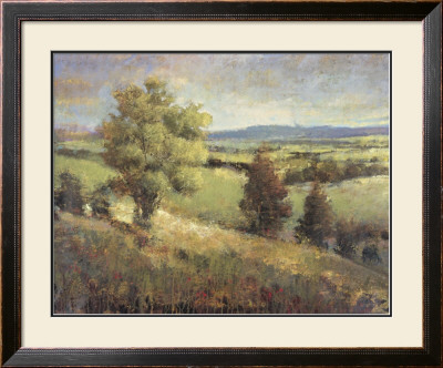 View From The Hill by P. Patrick Pricing Limited Edition Print image