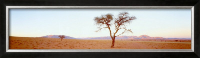Desert Twilight by Chris Simpson Pricing Limited Edition Print image