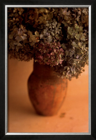 Hydrangea by Carol Kaplan Pricing Limited Edition Print image