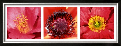 Heart Flowers by Laurent Pinsard Pricing Limited Edition Print image