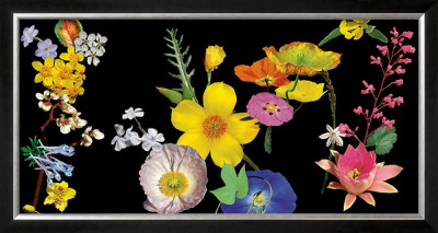 500 Flowers Ii by Roger Camp Pricing Limited Edition Print image