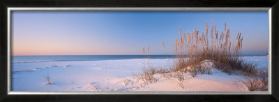 Dune Dreaming by Doug Cavanah Pricing Limited Edition Print image