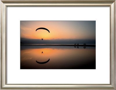 Flying Into The Sunset by Marina Cano Pricing Limited Edition Print image