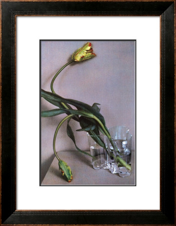 Man Ray Tulip, 1988 by Sheila Metzner Pricing Limited Edition Print image