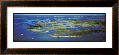 L'ile Aux Oiseaux, Bassin D'arcachon by Philip Plisson Pricing Limited Edition Print image