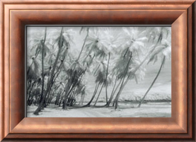 Manzanilla Leaning Palms by Evelyn Barnes Pricing Limited Edition Print image
