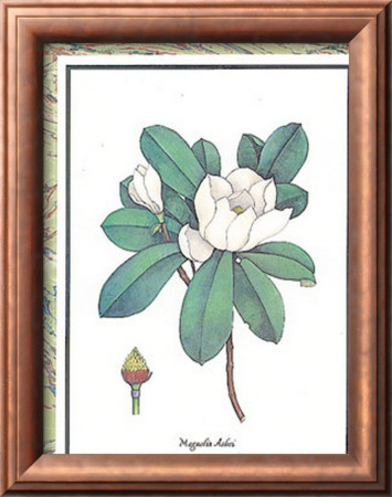 Magnolia Ashei by Jennifer Blume Pricing Limited Edition Print image