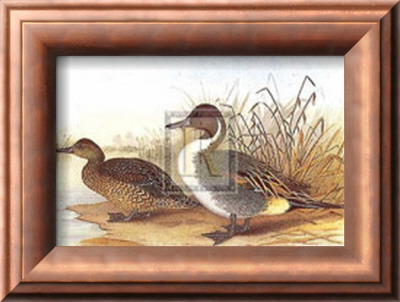 Ducks I by H. Jones Pricing Limited Edition Print image