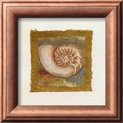 Spiral Shell by Charlene Winter Olson Pricing Limited Edition Print image