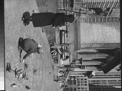 People Feeding Pigeons On The Sidewalk In Front Of The New York Public Library by Alfred Eisenstaedt Pricing Limited Edition Print image