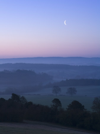 Misty Dawn With Moon, Newlands Corner, Surrey Hills, Near Guildford, Surrey, England, Uk by Miller John Pricing Limited Edition Print image