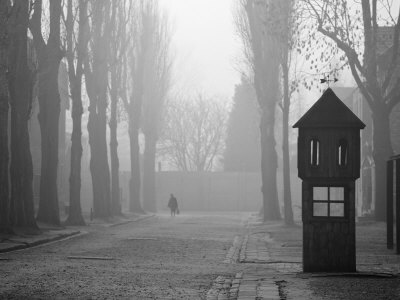 Auschwitz Concentration Camp, Unesco World Heritage Site, Poland, Europe by Edwardes Guy Pricing Limited Edition Print image