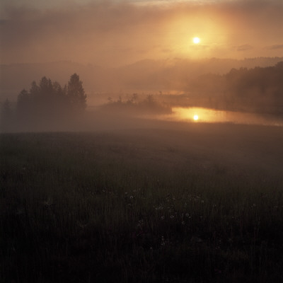 Reflection Of The Sun In A Pond At Sunset by Ove Eriksson Pricing Limited Edition Print image