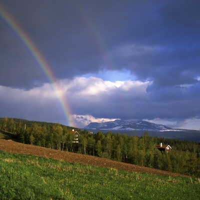 Rainbow Over The Trees, Jamtland, Sweden by Jorgen Larsson Pricing Limited Edition Print image